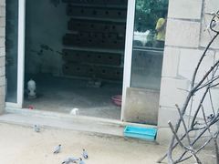 -北京市海淀外国语实验学校