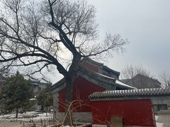 -莲池书院博物馆