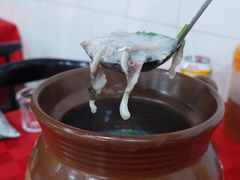 -先鲜鲫鱼粥