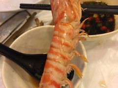 -鲜入围煮花胶鸡海鲜火锅