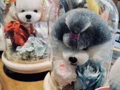 -1013 PET SHOP 宠物商店(近铁城市广场店)