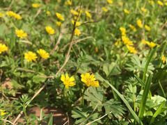 -千龙湖生态旅游度假区