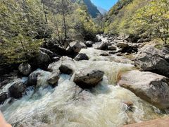 -青峰峡国家森林公园