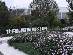 -北外滩滨江绿地