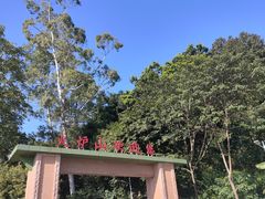 -火炉山森林公园