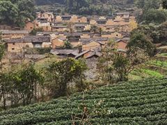 -杨家堂村