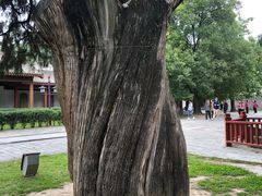 -黄帝陵