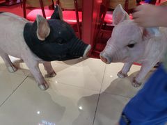 -猪角·闽南猪脚饭(上梅林店)