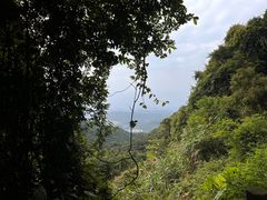 -梧桐山风景名胜区