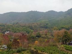 -塔川景区