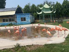-秦皇岛野生动物园