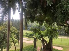 -南沙高尔夫球会