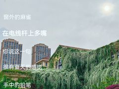 -成都当代影像馆