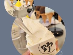 -野人先生Gelato(上海长宁龙之梦店)