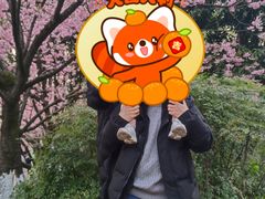 -南山植物园
