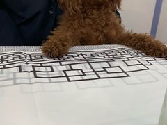 -雅逸居海鲜小厨