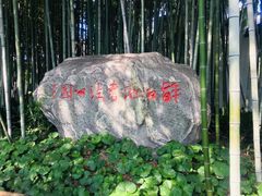 -上海醉白池公园