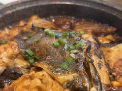 -海派美食·家宴海鲜青岛菜·石锅鲽鱼头(东方城店)