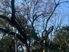 -绮园景区