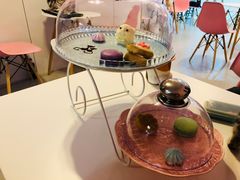 -三花喵·撸猫购宠·宠物生活馆(虹桥南丰城店)