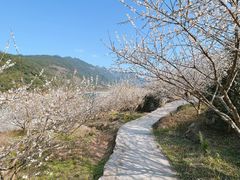 -广州市流溪河国家森林公园