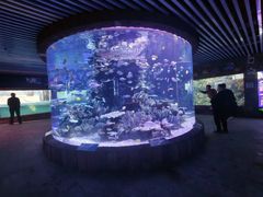 -左海海底世界
