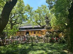 -普陀山风景名胜区-法雨禅寺