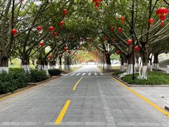 -芙蓉餐厅(厦大店)