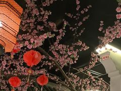 -卢大鲜鱼头捞饭(美利广场店)