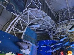 -烟台海昌鲸鲨海洋公园