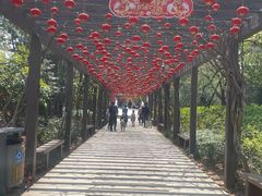 -白马涧龙池景区