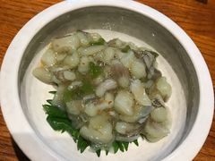 辣根章鱼-千代武日本料理(爱建店)
