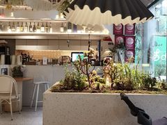 -春树下·树屋花房西餐厅(罍街AS1980店)