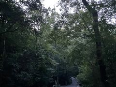 -岳麓山风景名胜区