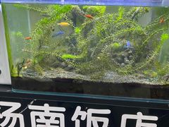 -杨南饭店·二十五年闽菜馆(凤湖新城一店)