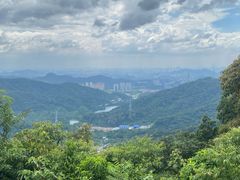 -黄埔油麻山森林公园