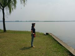 -漕湖湿地公园