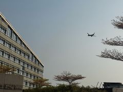-深圳机场凯悦酒店