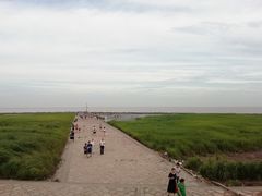 -南汇嘴观海公园