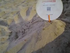 -碧海金沙