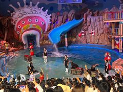 -烟台海昌鲸鲨海洋公园