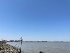 -上海滨江森林公园