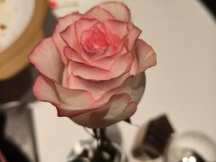 -潇湘府PLUS(大族广场店)