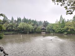-瀛洲公园