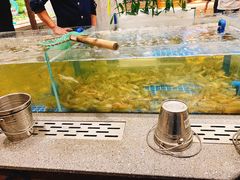 -半岛听涛蒸汽海鲜自助(K11店)