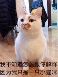 -卡尔诗·科技美肤连锁