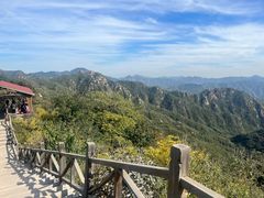 -大岭沟猕猴桃谷风景区