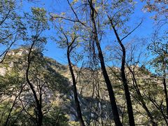 -大岭沟猕猴桃谷风景区
