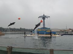 -秦皇岛乐岛海洋王国