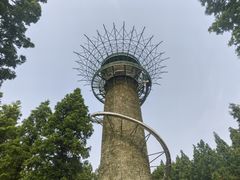 -黄海国家森林公园